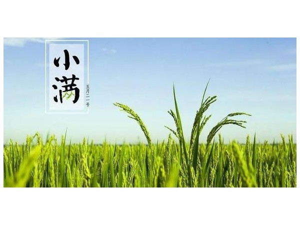 四月中，小瞞者，物致于此小得盈滿